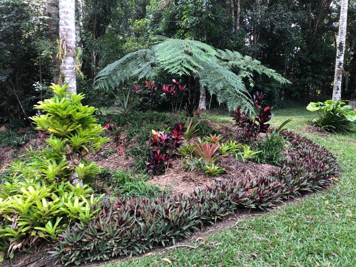Villa Honeybee House Kuranda Exterior foto