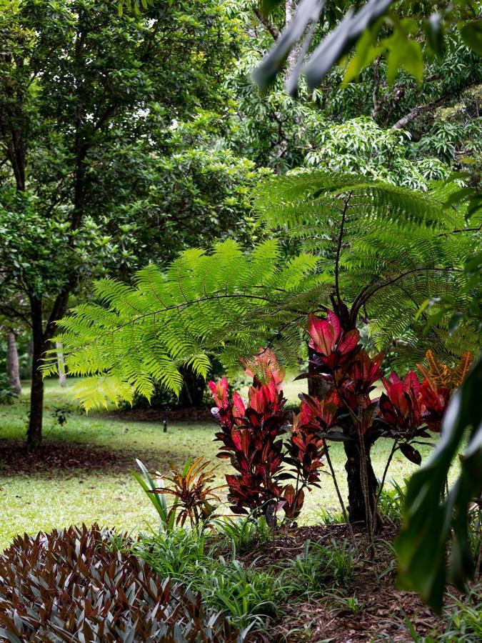 Villa Honeybee House Kuranda Exterior foto