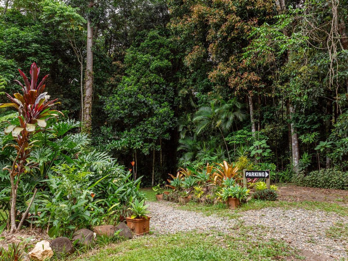 Villa Honeybee House Kuranda Exterior foto